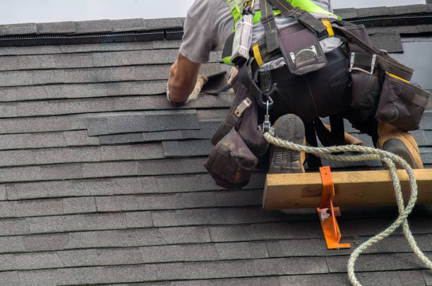 Best Roof Gutter Cleaning  in Leander, TX